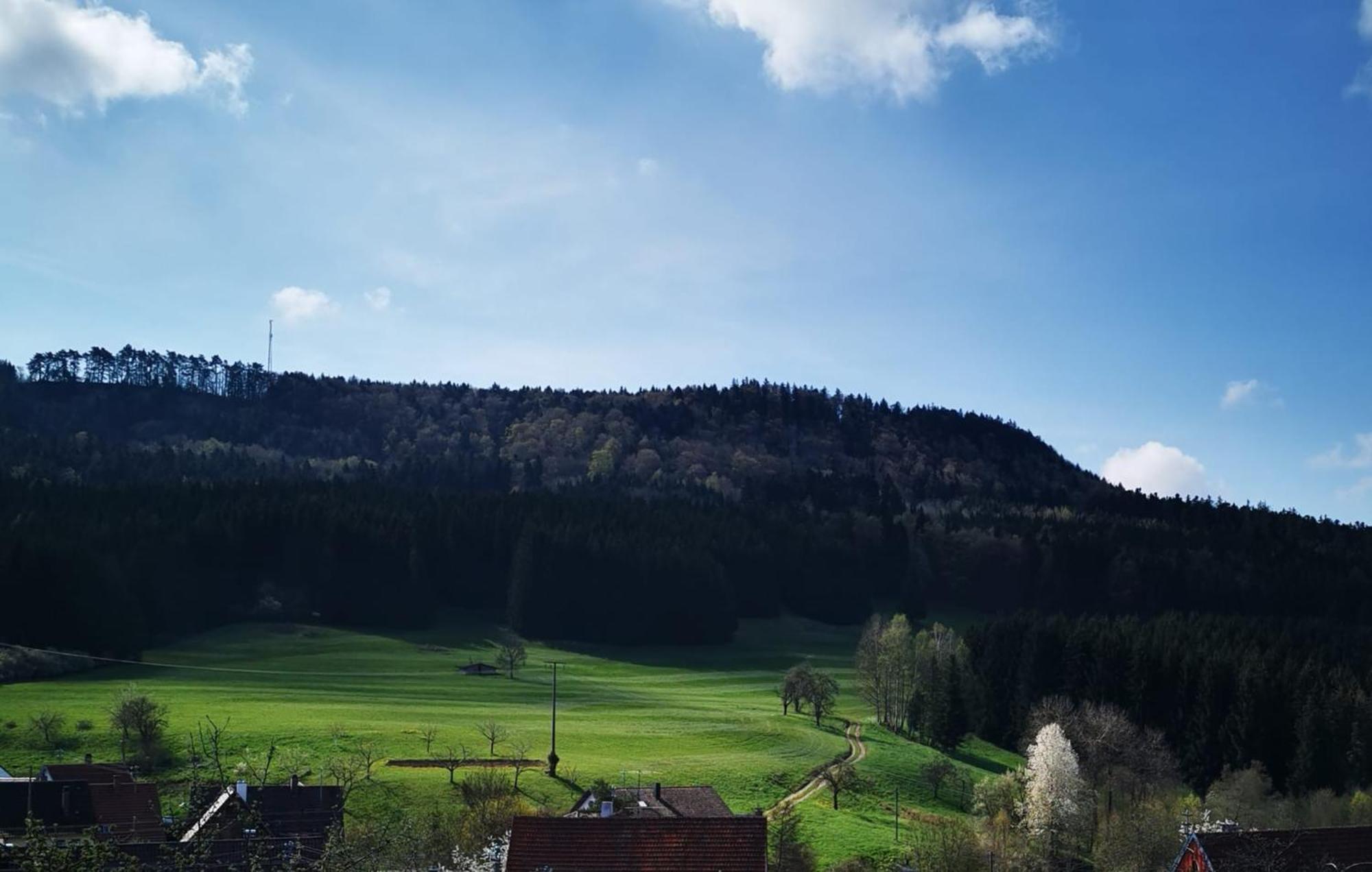 Ferienwohnung Blick Rappenstein Hausen am Tann Exterior photo